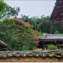 용평동 용호정 이미지
