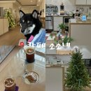 소소네 | 포항 신상 카페 애견동반 크리스마스 트리 카페 소소네 후기