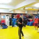격투창고 MMA 이미지