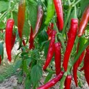 만수3동-10 이미지