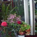 우리뷔페 이미지