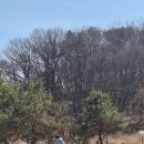 동키닭 | 용인 가볼만한 곳 ㅣ 당나귀와 교감하는 특별한 시간, 동키스타즈 아이와 방문후기