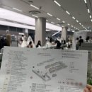 페이네스트_비
