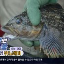 기성식당 이미지