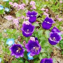 갤러리 우촌(미술관) 이미지