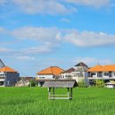 발리휘트니스 | 발리 짱구 원더러스트 피트니스 빌리지 후기｜크로스핏 드랍인 일일권 가격 헬스장, 수영장 정보까지