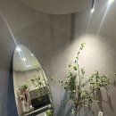 부악로 | 이천피부관리 리윤에스테틱 리프팅맛집 티리온엑스 후기