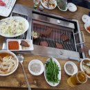 조촐이 Daum카페