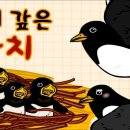 더건PT 이미지