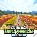 출렁다리 | 2025 경기도 포천 한탄강 가든페스타 축제 Y자출렁다리 솔직후기