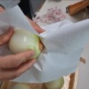래드랩 이미지