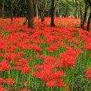 곰소농장 이미지