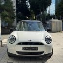 나누크 | 미니3도어일렉트릭 페이버드 나누크화이트 &amp; 베이지시트 서울 출고 후기 !