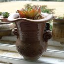 크라우스 이미지