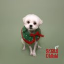 앙꼬네 미용실 이미지