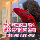 부여 주택청소 별장 정기관리 청소업체 사비크린