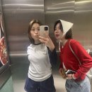 브라이튼 여행사