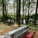 메타세콰이어 화장실 이미지