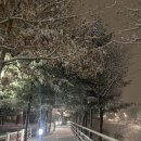 로하스치킨 이미지