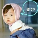 모해 - 제천시 청풍호로10길 50 | 모해