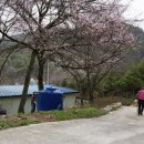 곡성-219 이미지