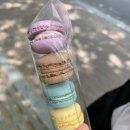 매머드익스프레스일산