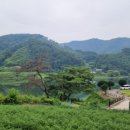 송호민박 이미지