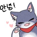 세일화방