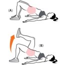 애플힙 짐 이미지