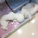 폴리파크 반송점 이미지