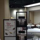 세라갤러리아대전