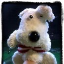 짬사우나헬스 이미지