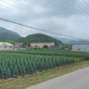 H0641 네이버블로그
