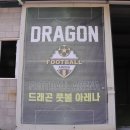 드레곤 스포츠 이미지