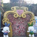 메디케어허브 이미지