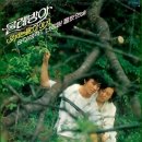 순이생각 Daum카페