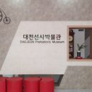 대전선사박물관 이미지