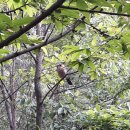 시립e편한세상어린이집 이미지