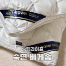 가성비 최고 빨아쓰는 숙면 베개 송림라이프 호텔 베개 후기