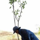 마룡농장 이미지