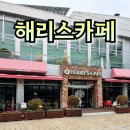 녹산주민문화회관 | 해리스카페 금정문화회관점 방문 후기