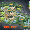 메디칼바움 이미지