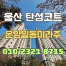 이누스주식회사(진주지점) | 울산 탄성코트 테라세븐 온양일동미라주 새집처럼 변신
