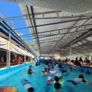 (주)아성다이소 부산용호점 | 부산 근교 당일치기 물놀이 밀양 마이웨이 리조트 수영장 평상 준비물