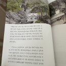킴스트래블