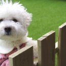 캠핑소리251 이미지