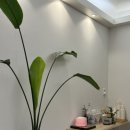 어린이 바디밸런스 발레 이미지