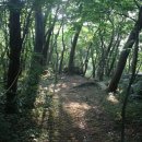 서귀포자연휴양림1 이미지