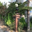 솔빛리조트 이미지