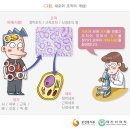 세포검사[cytoscopy] 이미지